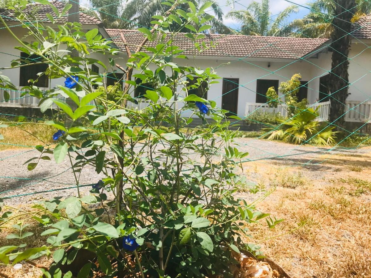 Palm Garden House 호텔 Quang Tri 외부 사진