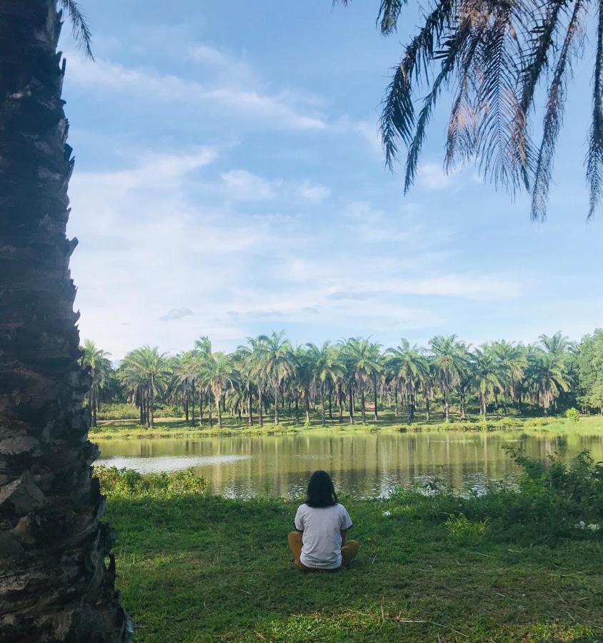 Palm Garden House 호텔 Quang Tri 외부 사진