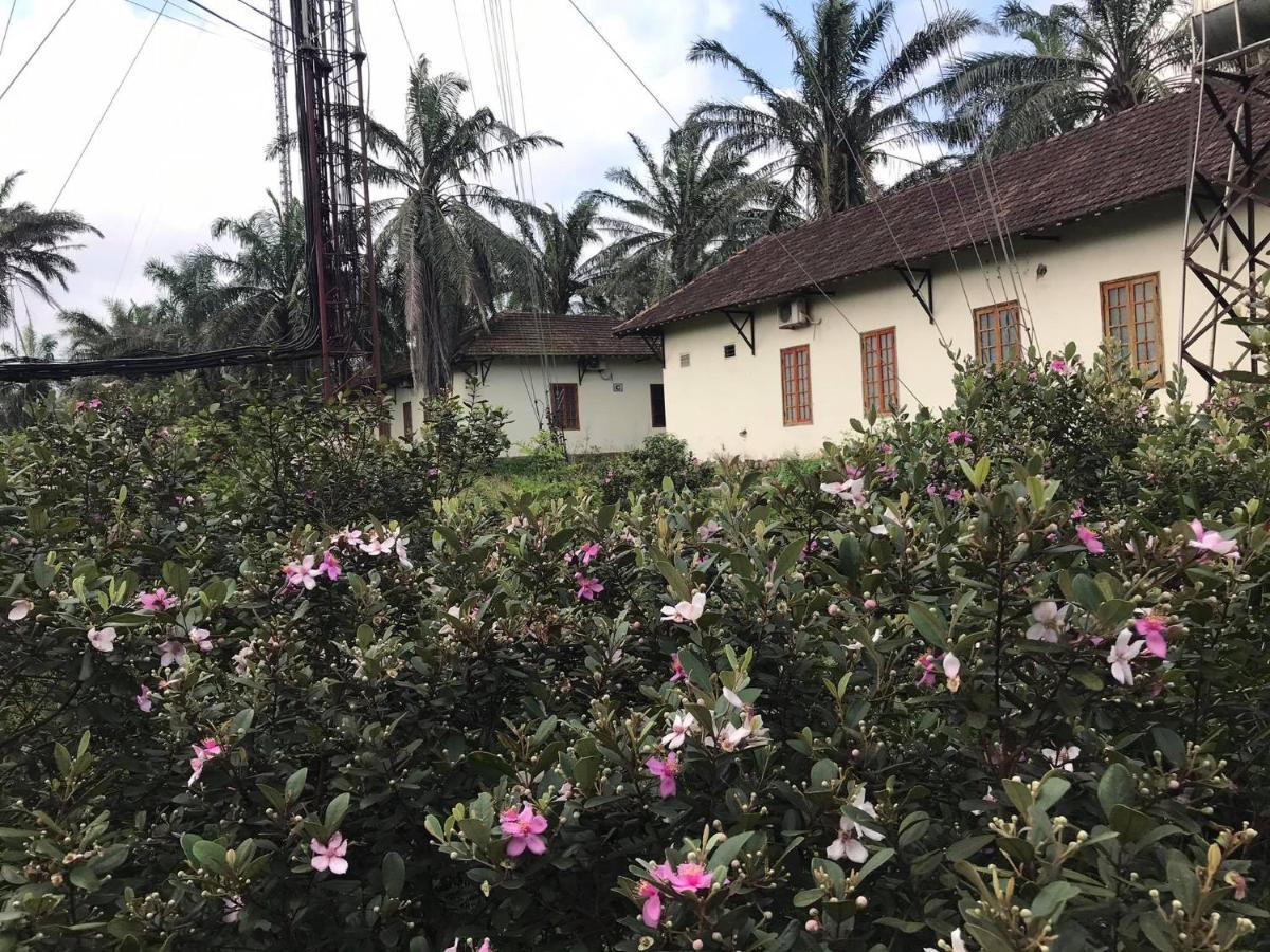 Palm Garden House 호텔 Quang Tri 외부 사진