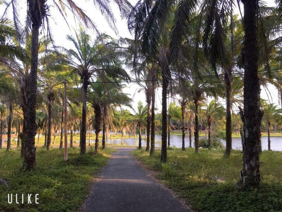 Palm Garden House 호텔 Quang Tri 외부 사진